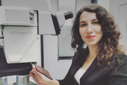 Dr. Seda Koyuncu, Post-Doc