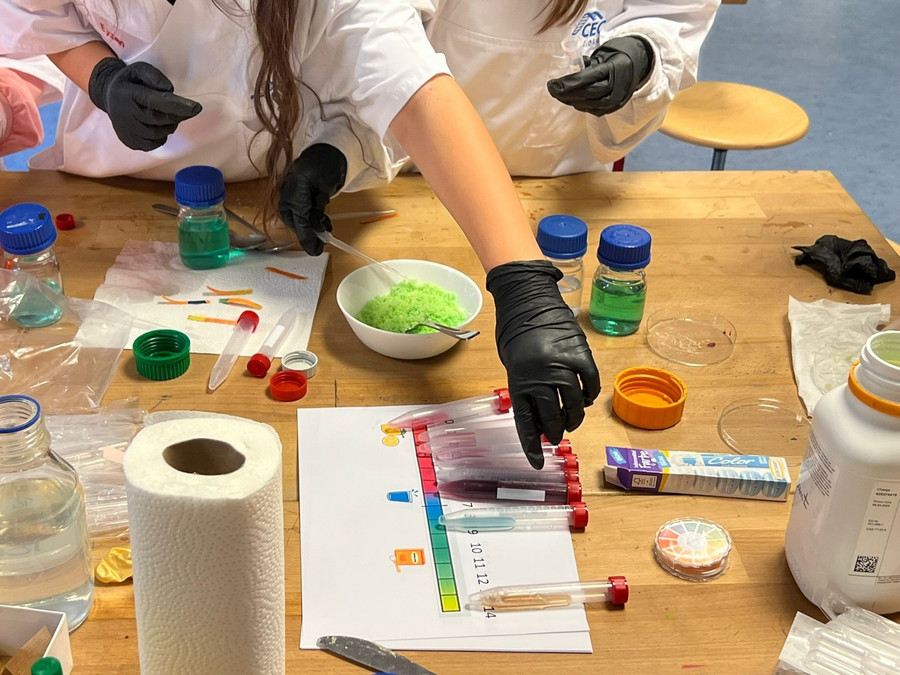 Children experimenting in our Primary School Project The foto shows children performing pH measurements with colorful test tubes